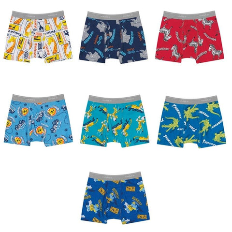 Boys Toddler Hanes Printed Boxer Briefs - 7 Pk.