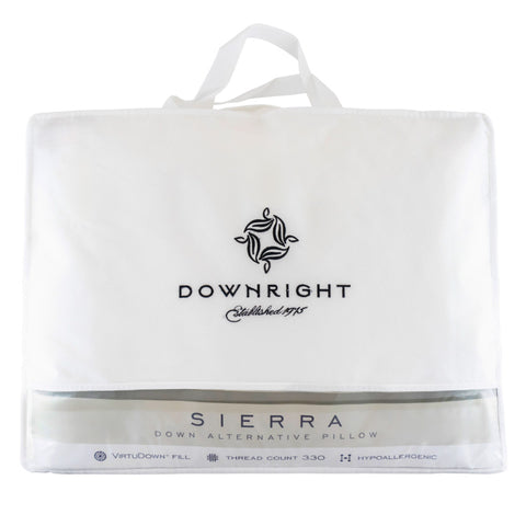 DownRight Sierra VirtuDown Pillow