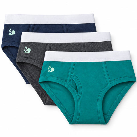 Boys Feathers Solid Colors Briefs - 3 Pk.